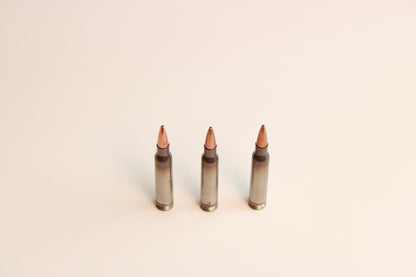 75GR Hornady OTM NAS3 Case