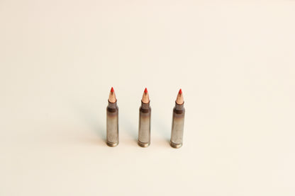 53GR VMax NAS3 Case